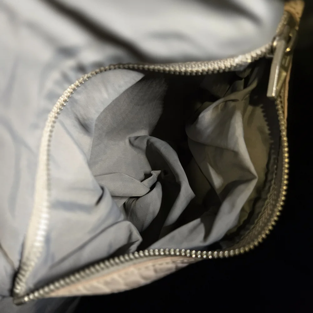 ALEXANDER WANG Pebbled Lambskin Rocco in Latte with Rose Silver Hardware